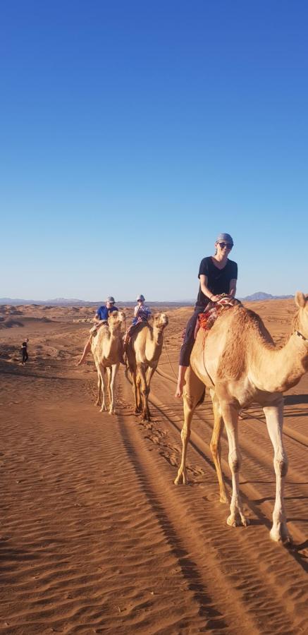 Al Hawiyah Camp 호텔 외부 사진